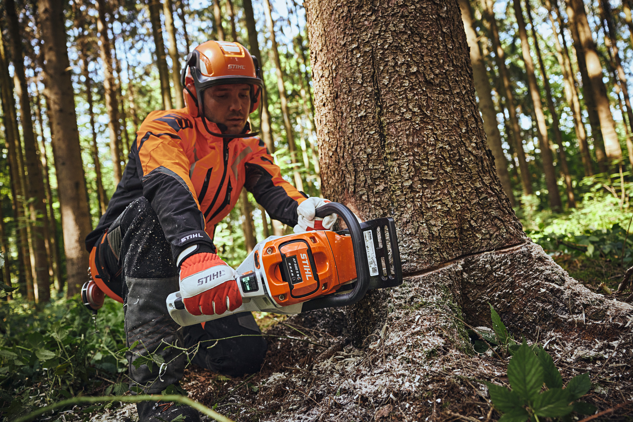 Homme en équipement de protection STIHL découpant un tronc d’arbre