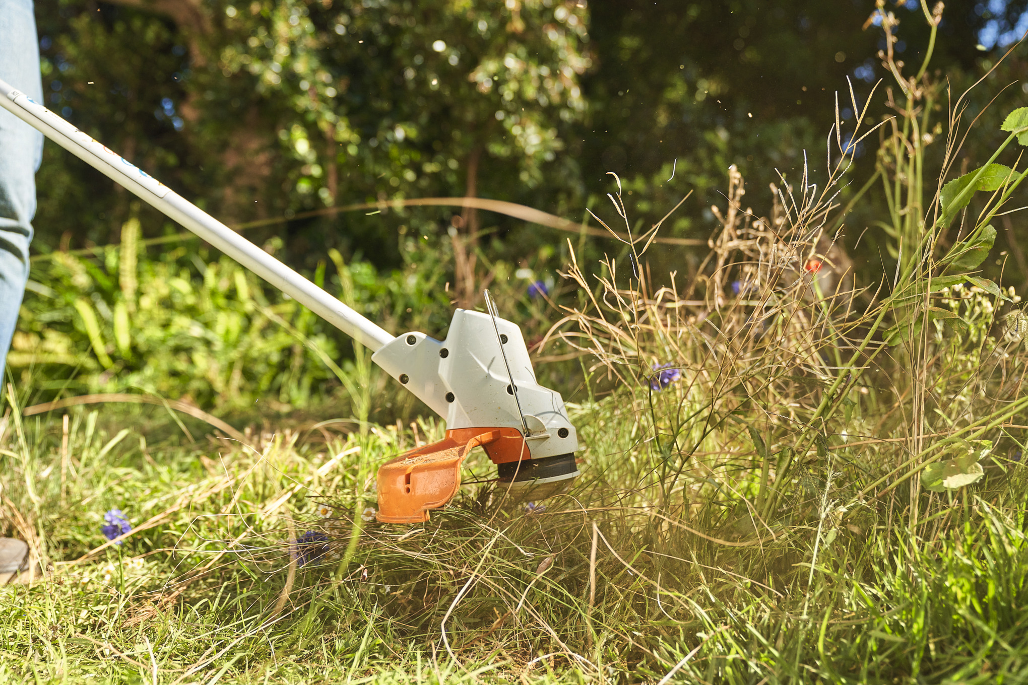 Gros plan sur une personne qui coupe une prairie de fleurs sauvages avec le coupe-bordure à batterie STIHL FSA 57  
