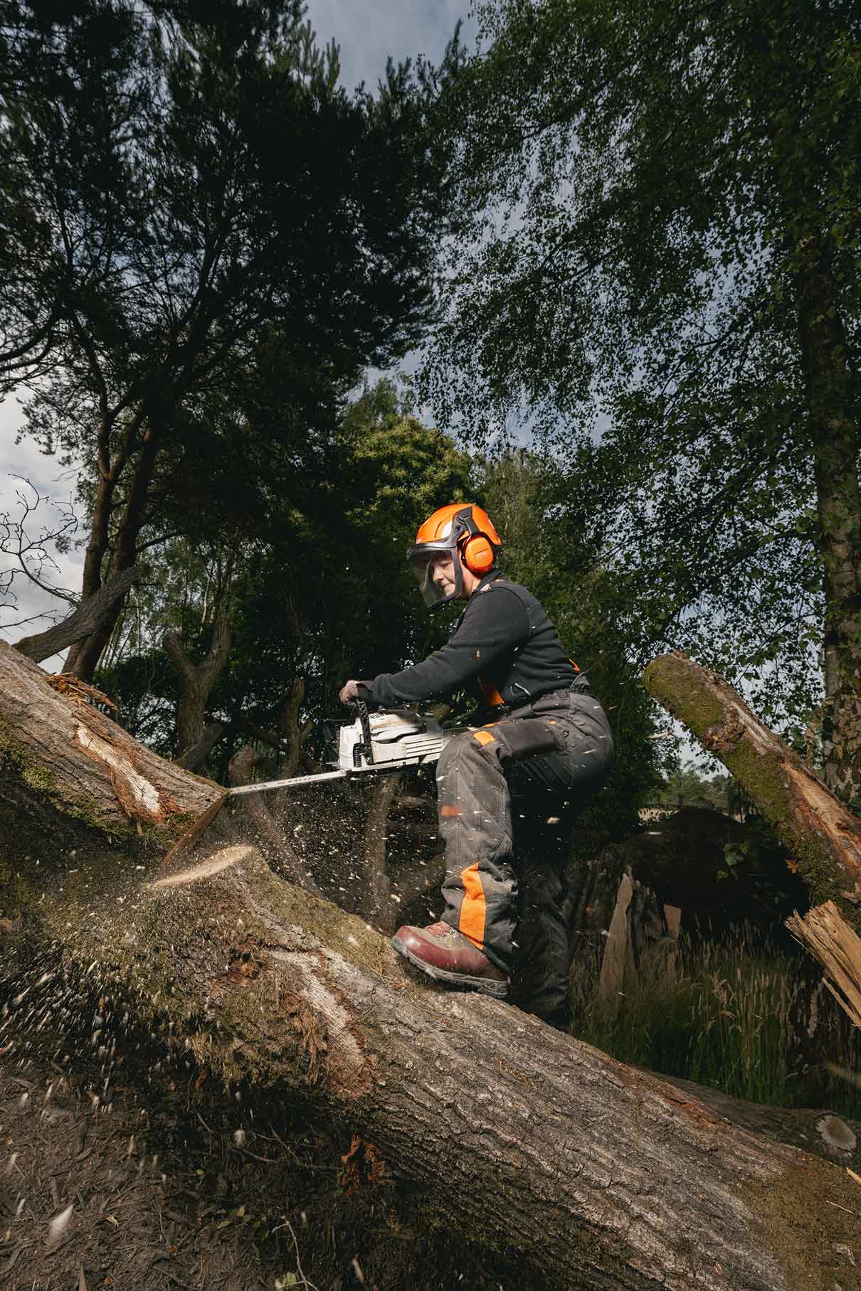Astrid qui tronçonne un arbre dans le parc Beekse Bergen
