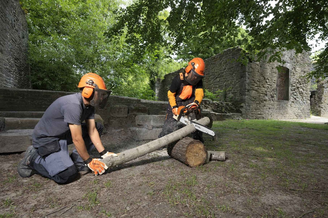 Coupe de bois sur le site de l'Abbaye de Villers