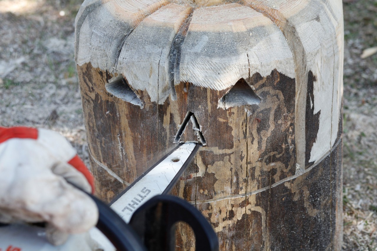 L’expression d’une citrouille d’Halloween en bois sculptée dans un rondin à l’aide d’une tronçonneuse STIHL MSA 140 C