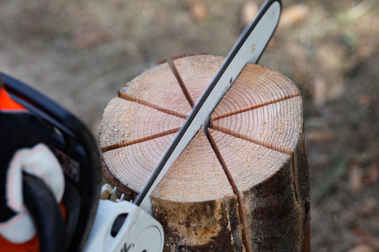 Tronçonneuse thermique STIHL MS 181 découpant huit fentes croisées dans une bûche posée debout