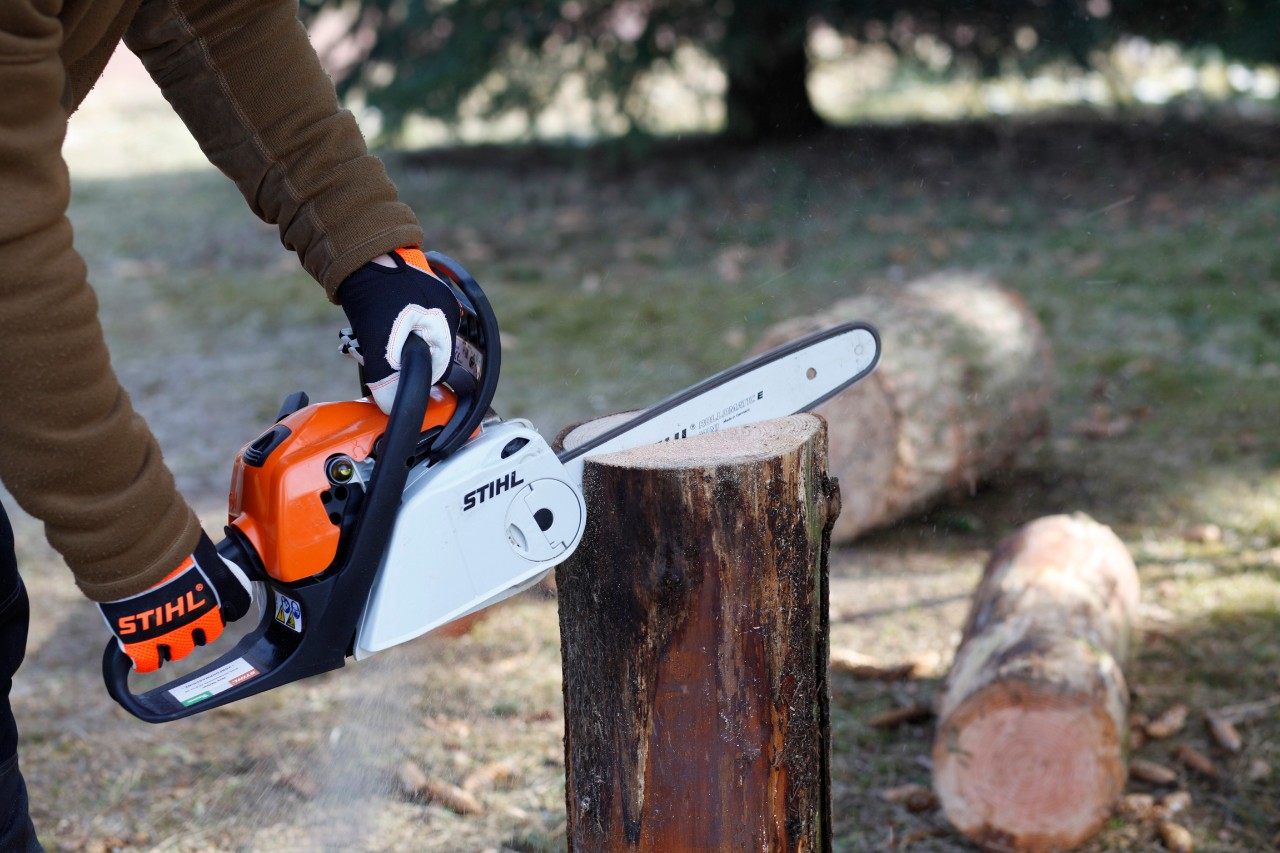 Tronçonneuse thermique STIHL MS 181 effectuant une coupe verticale dans une bûche