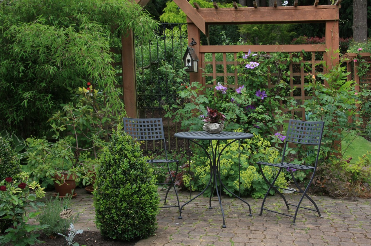 Espalier en bois envahi par la végétation entre des buissons verts, derrière une table de jardin et deux chaises