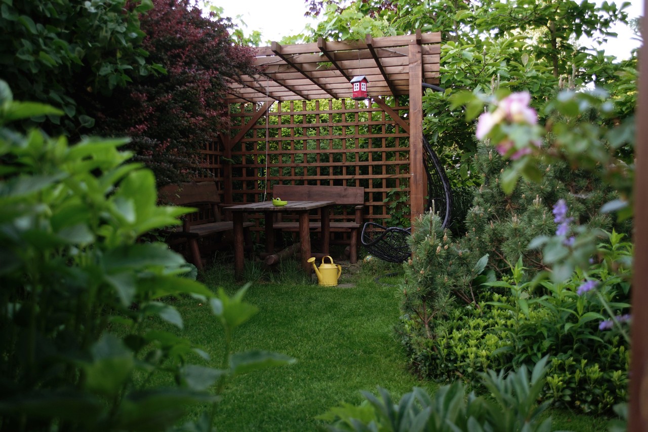 Pergola en bois comme support de plantes grimpantes au milieu des arbustes en fleur du jardin