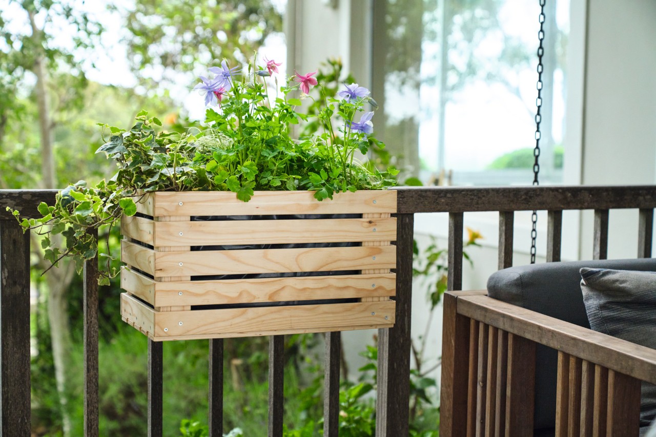 Jardinière en fleurs suspendue à la rambarde d’un balcon