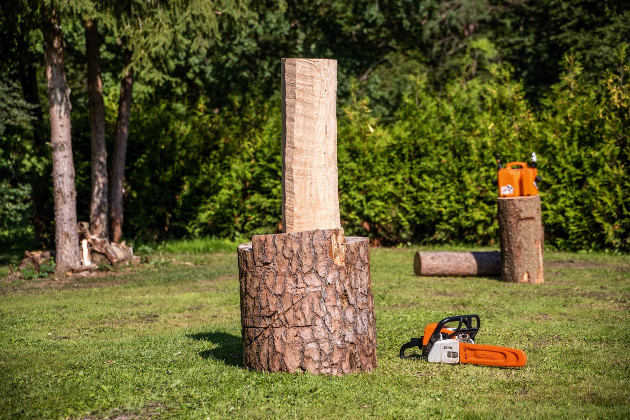Bûche écorcée posée sur un socle avec une tronçonneuse STIHL parterre.