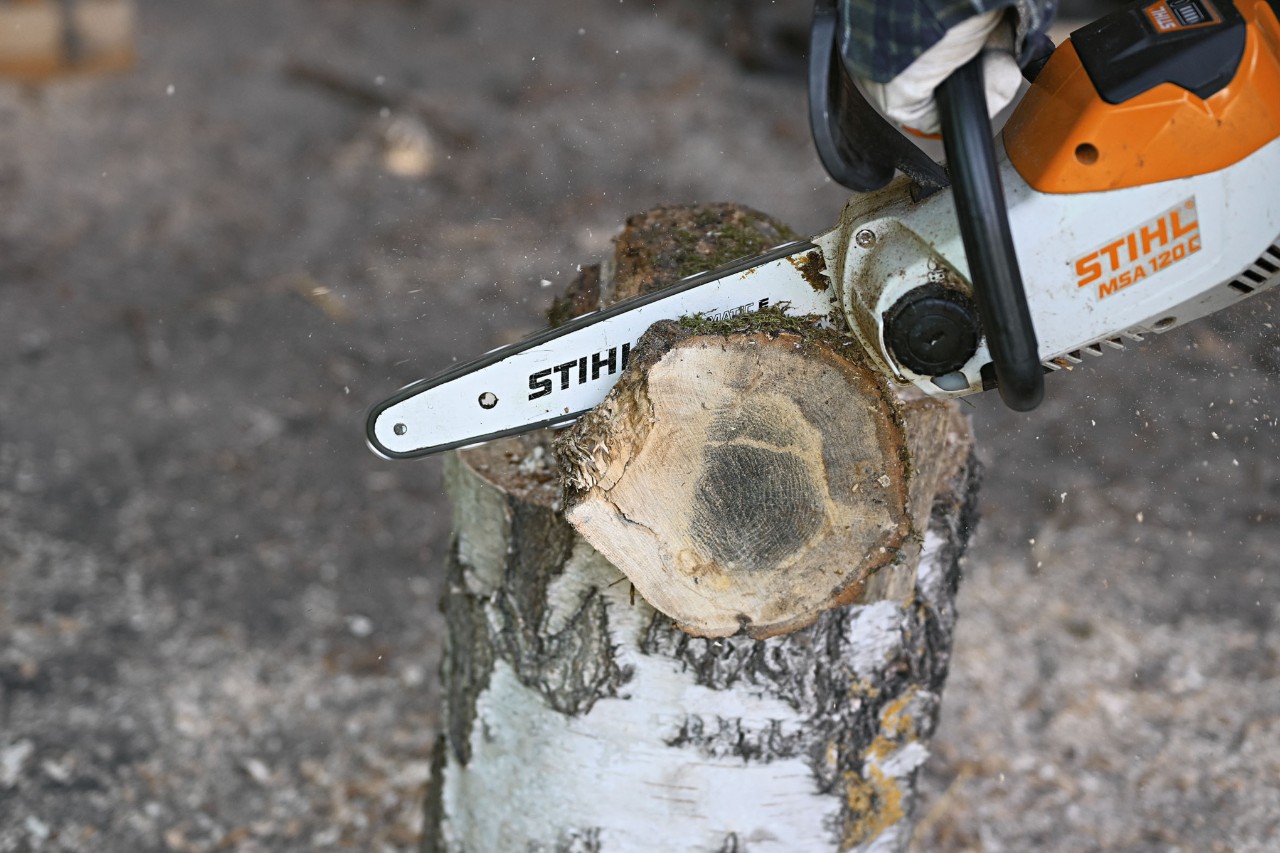Gros plan sur la tronçonneuse à batterie STIHL MSA 120 en train de scier une section d’arbre