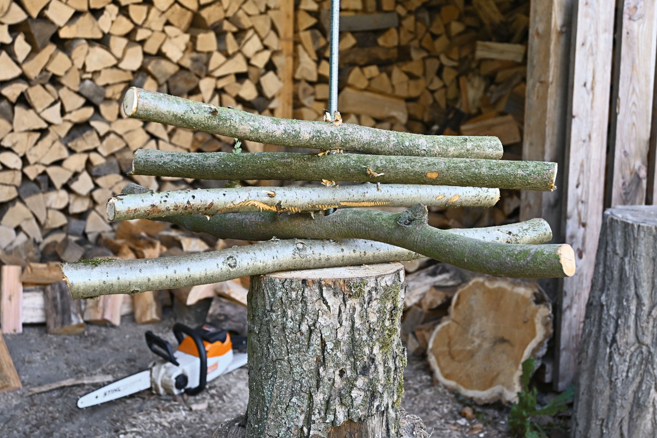 Tige filetée dans la section de l’arbre avec des branches en quinconce