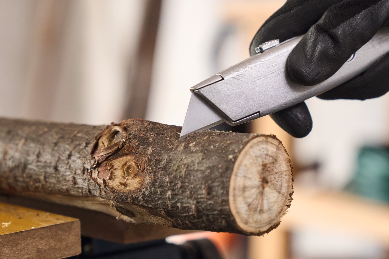 Gros plan sur une personne incisant l’écorce d’une branche avec un cutter