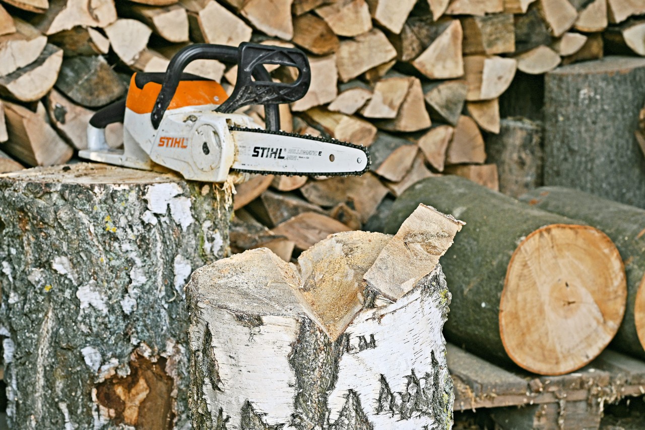 Souche d’arbre avec une entaille placée devant une tronçonneuse sur batterie STIHL MSA 140 C posée sur une autre souche