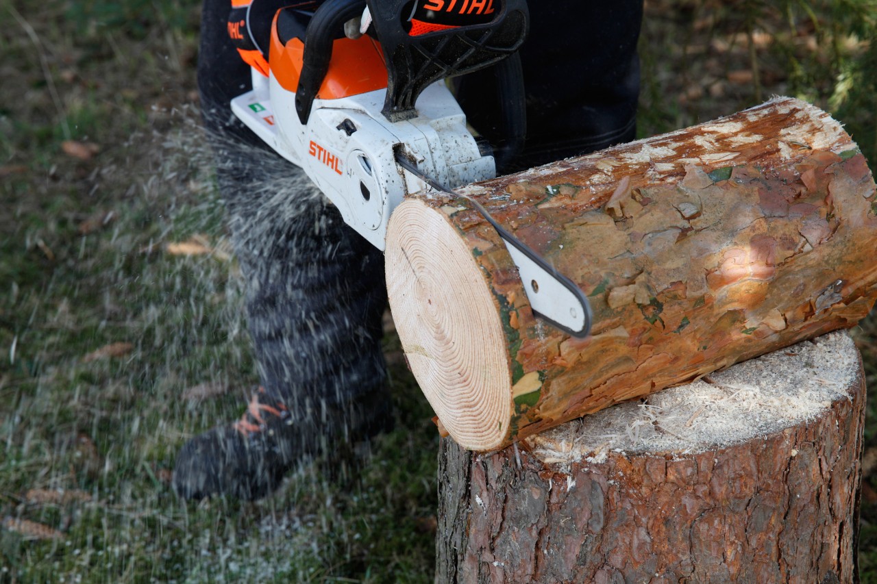 Faire une mangeoire à oiseaux en bois : coupe d’un disque de bois avec une tronçonneuse à batterie STIHL MSA 140 C