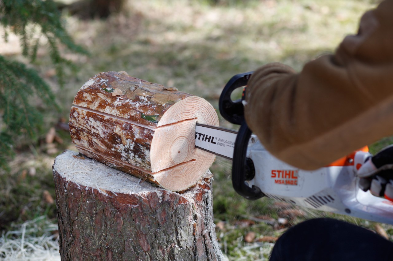 Faire une mangeoire à oiseaux : coupe en plongée faite dans un rondin avec une tronçonneuse STIHL MS 140 C