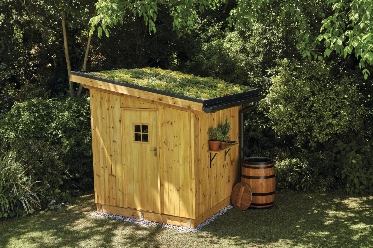 Construction terminée d’un abri de jardin avec parements en bois et un toit végétalisé