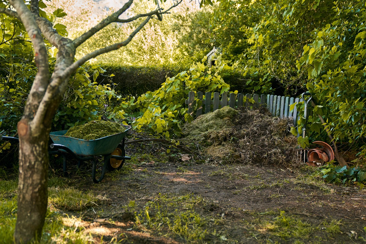 Brouette remplie de déchets de jardin à côté d'un tas de compost