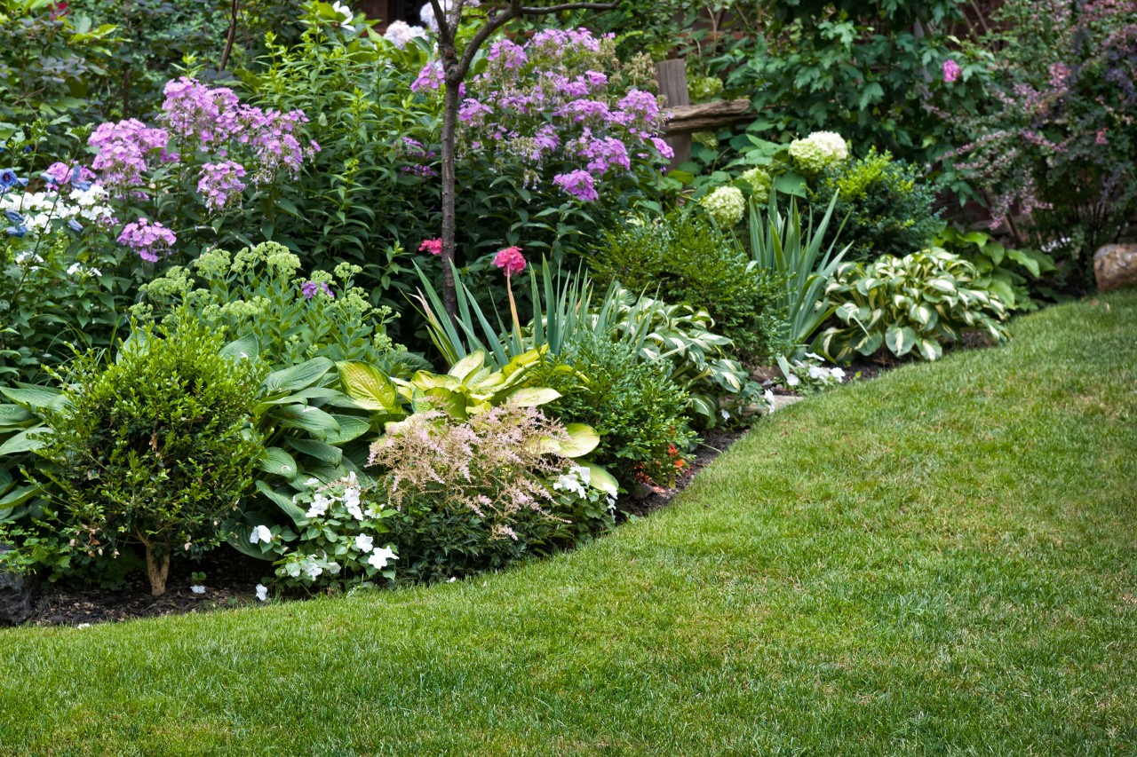 Pelouse et massif de fleurs en pente à l’avant, bordée de parterres d'arbustes, séparée par des bandes de style anglais