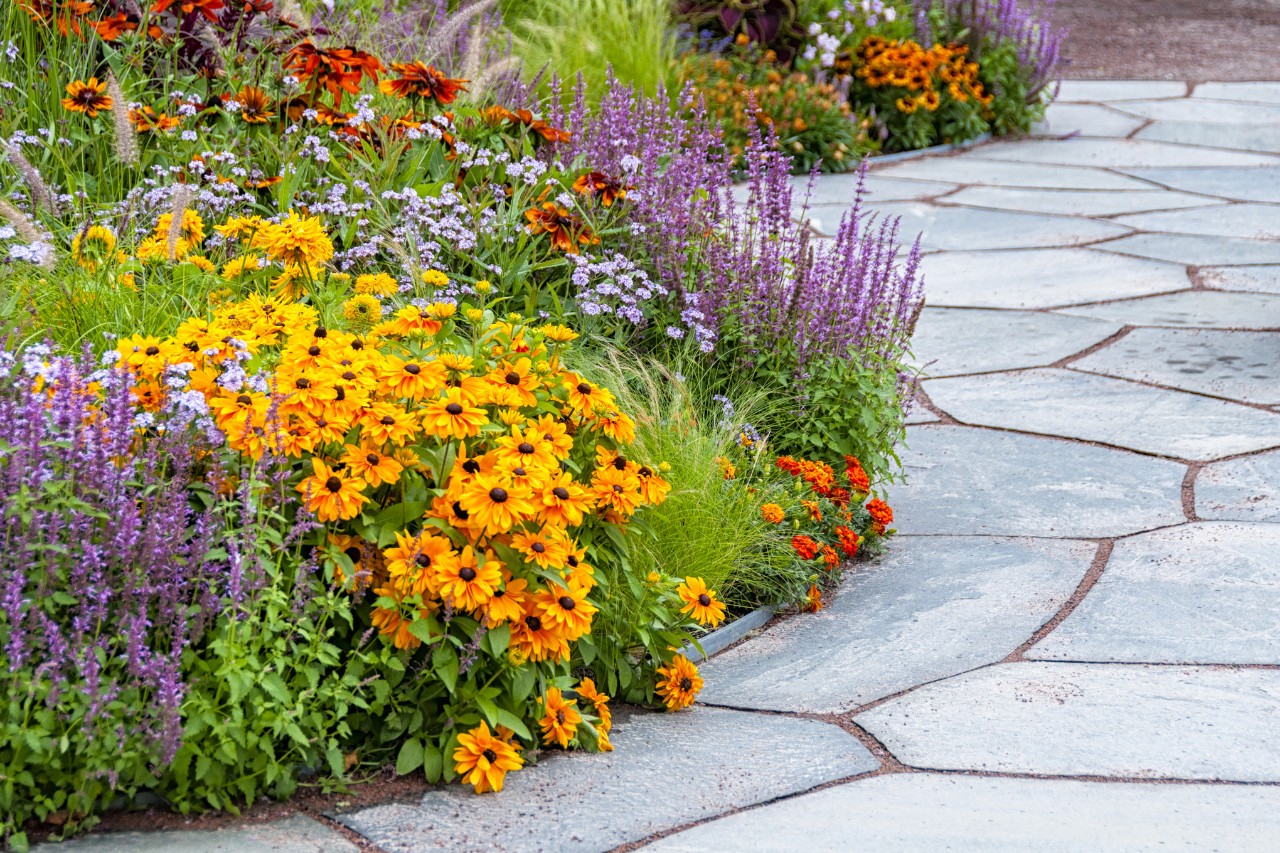 Un parterre d’arbustes coloré et fleuri sur une voie pavée pour l’aménagement du jardin