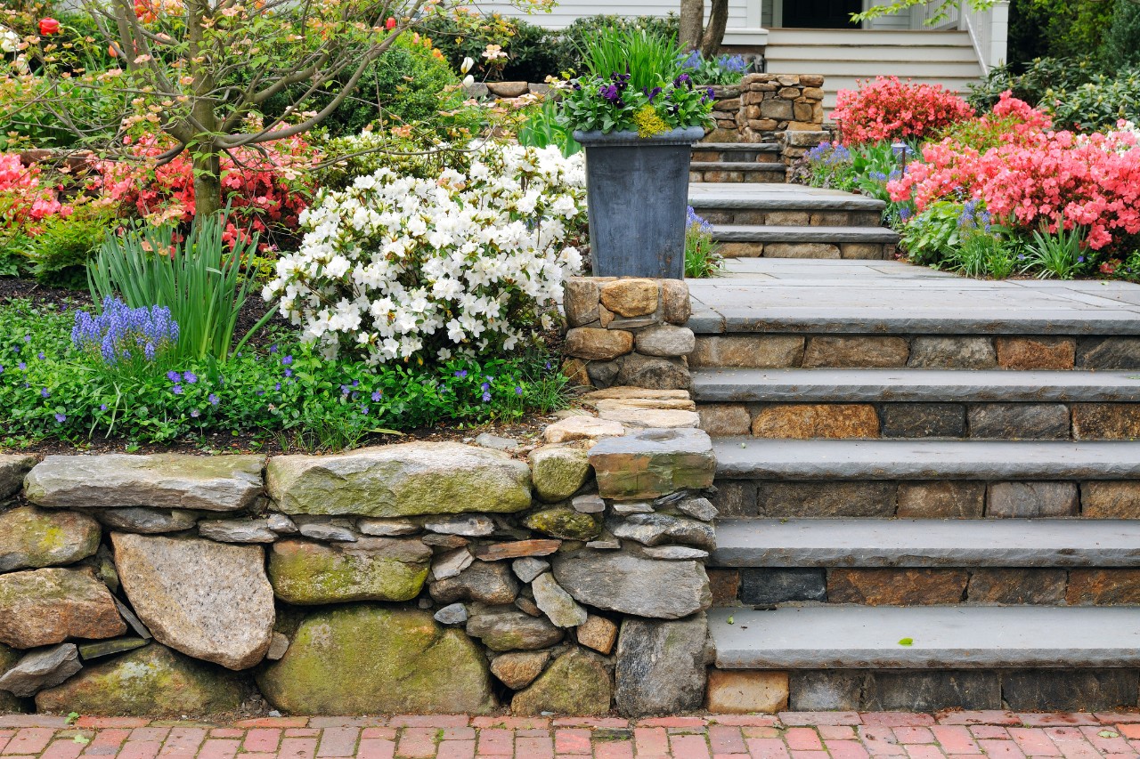 Marches d’escalier en pierre entourées de parterres de fleurs multicolores dans un jardin de façade