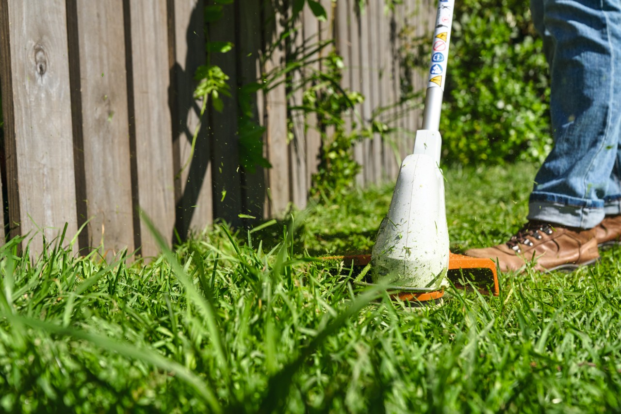 Avec la débroussailleuse à batterie STIHL FSA 30, la pelouse est tondue à l’endroit où une bande fleurie sera ensuite créée
