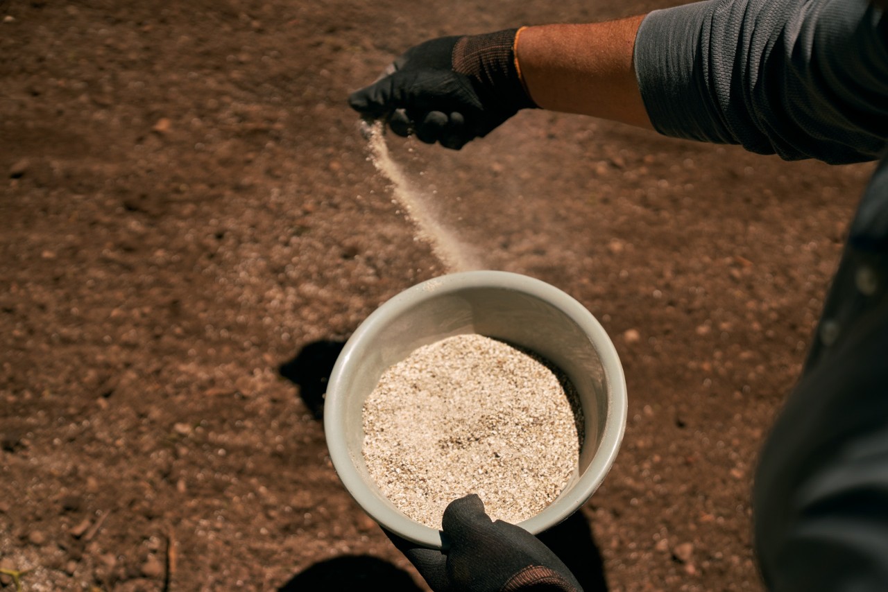 Des granulés d’engrais organiques dans un bol, dispersés par une personne portant des gants