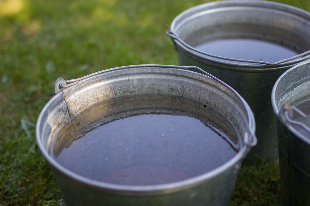 Trois seaux d’eau remplis dans une prairie