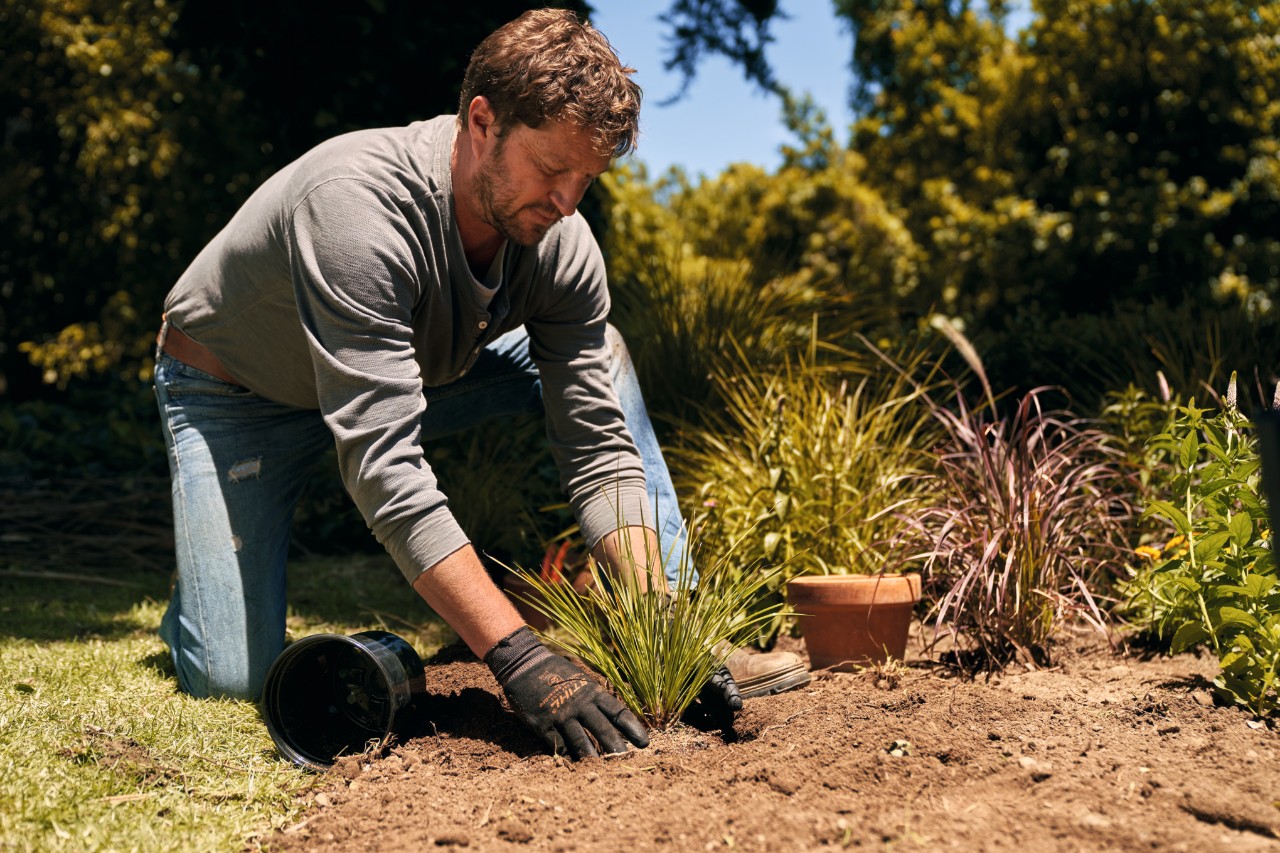 Homme portant des gants de travail pour planter des graminées