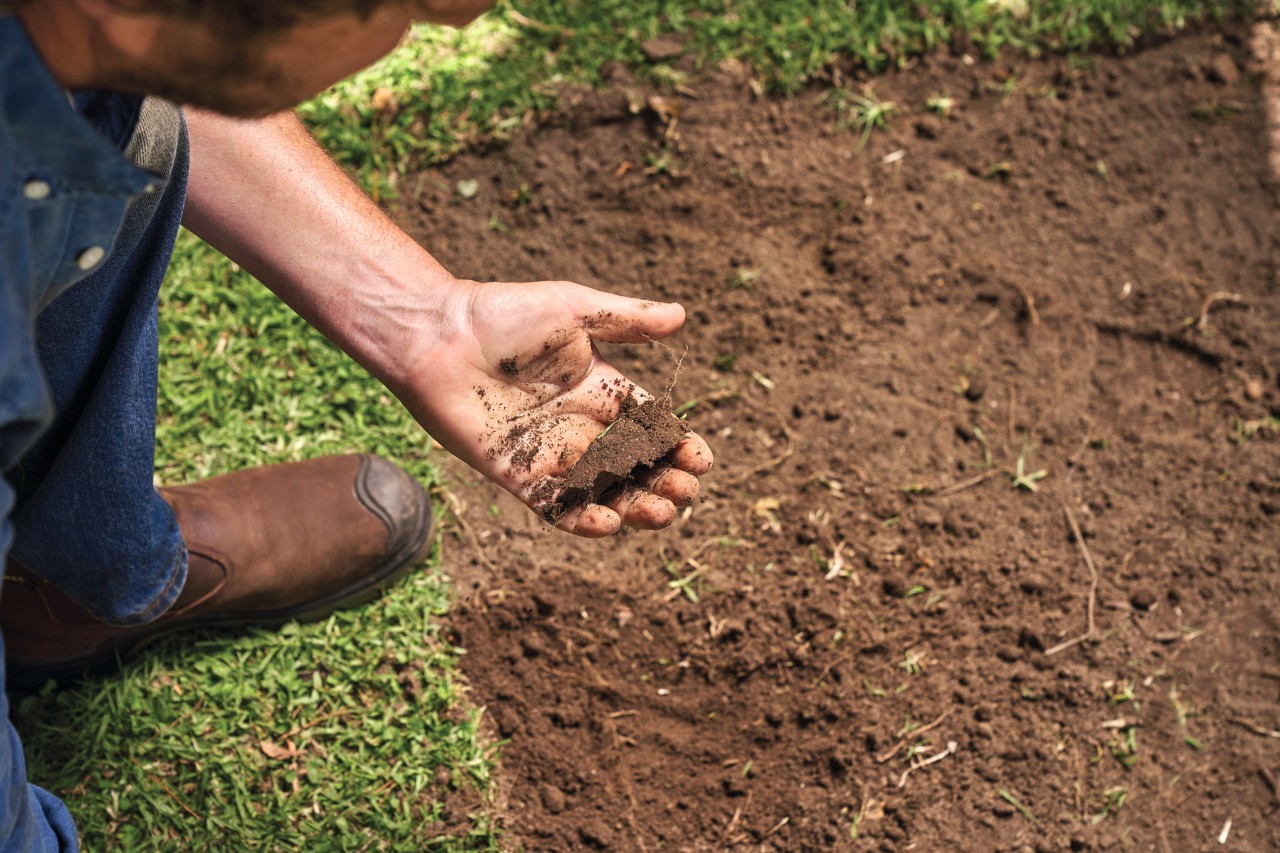 Plan sur un homme tenant dans sa main de la terre