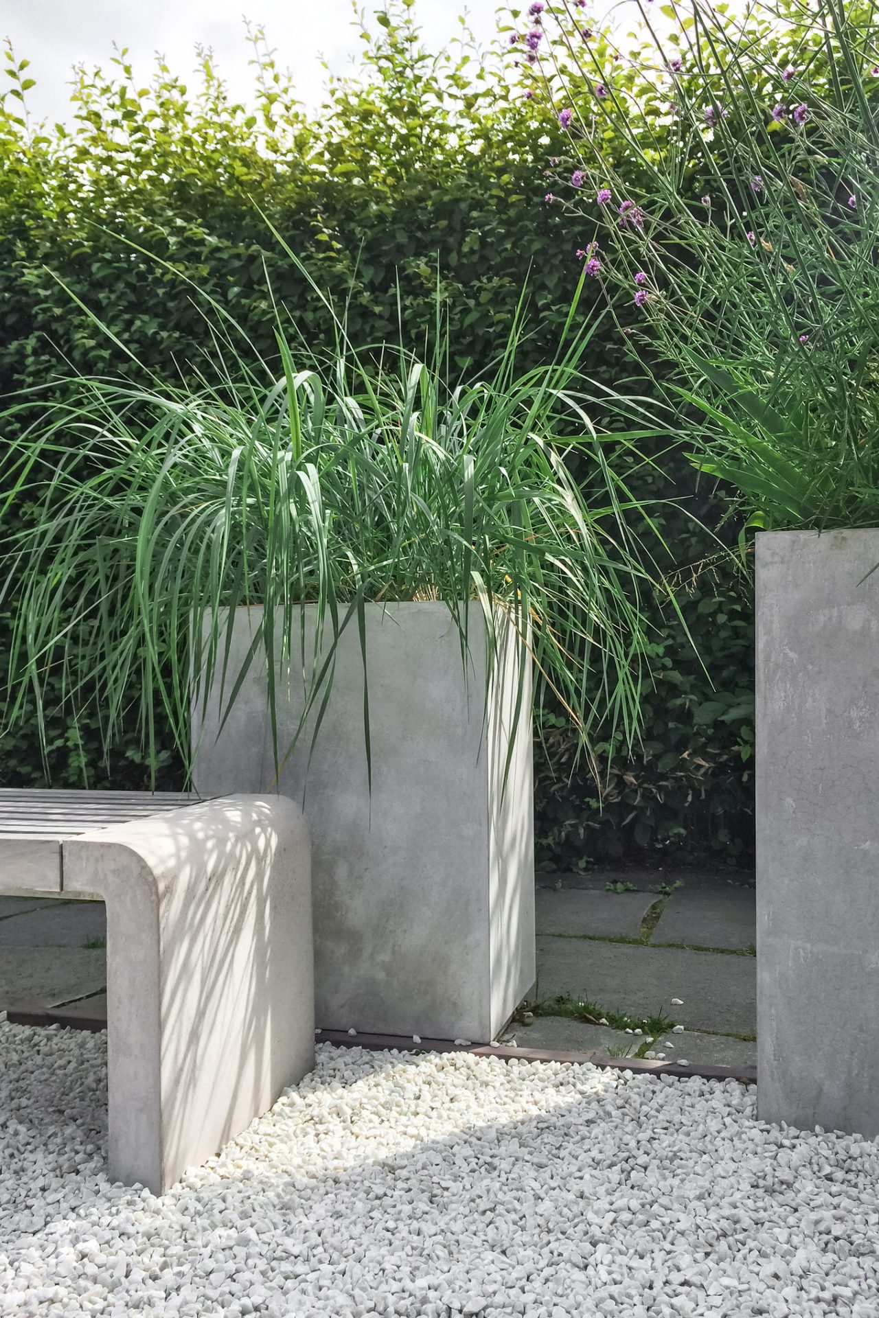 Graminées dans un pot en béton