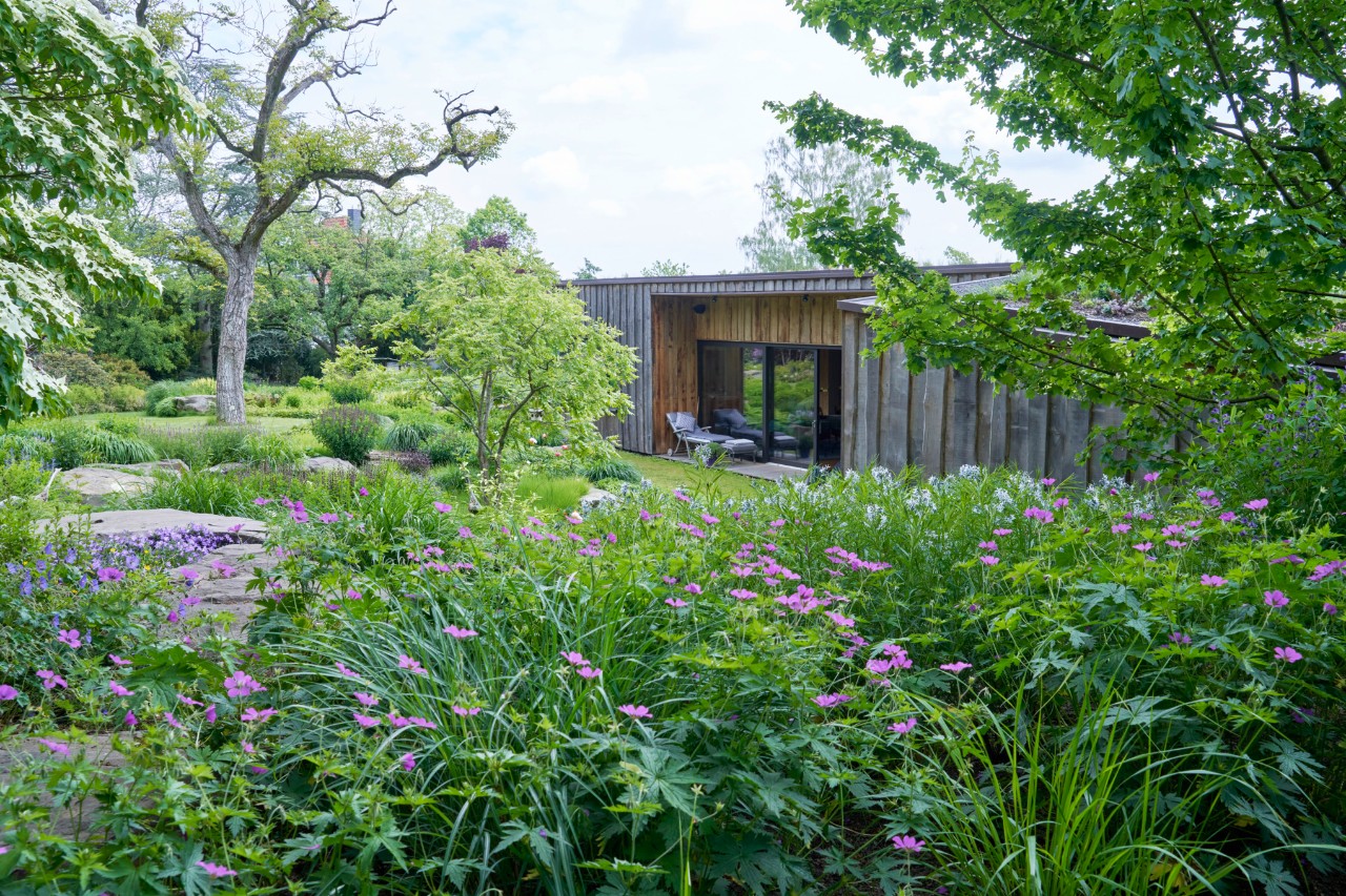 Jardin en pente avec géranium