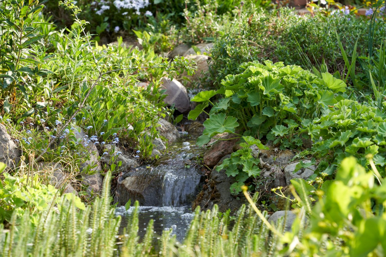Jardin en pente au printemps avec un ruisseau