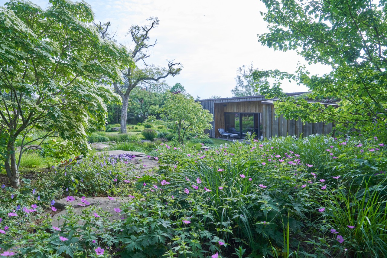 Jardin en pente avec plantes à fleurs mauves et maison en bois en arrière-plan