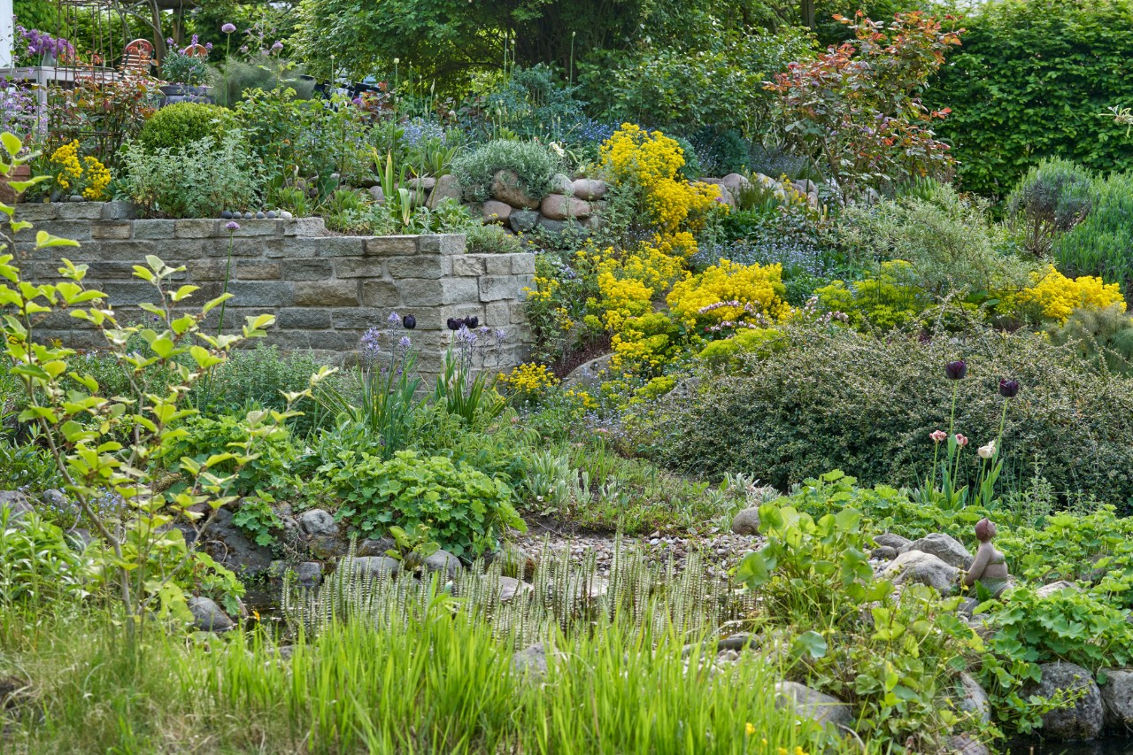 Jardin en pente avec de nombreuses plantes vertes
