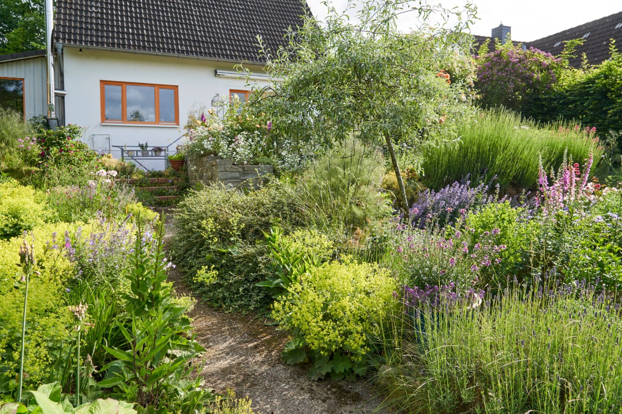 Un jardin en pente avec un sentier de jardin menant à une maison