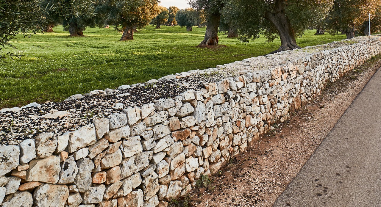 Un mur en pierres sèches, prisé des abeilles, sépare une route d’un parc planté d’arbres.