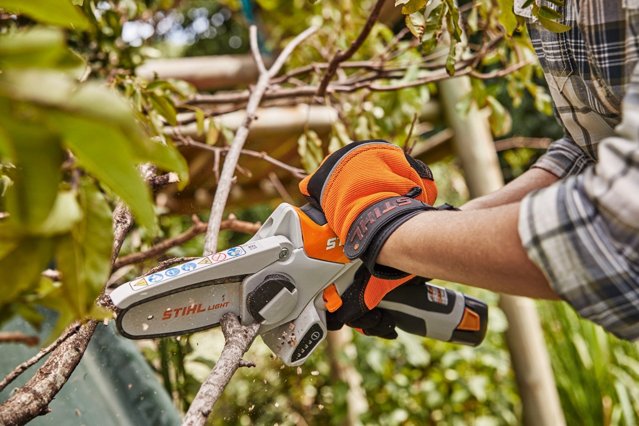 Utilisation de la scie de jardin STIHL GTA 26 pour élaguer une branche