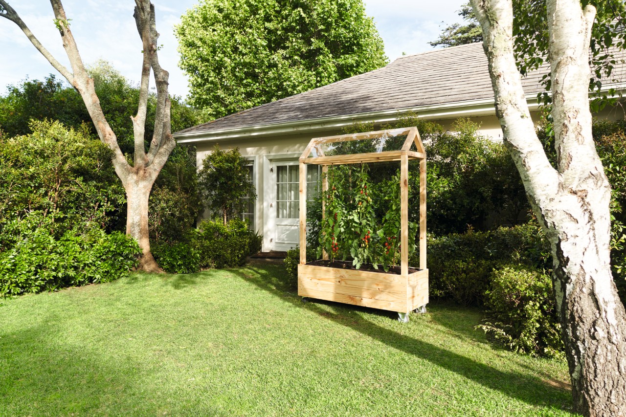 Abri à tomates dans un jardin arboré avec pelouse