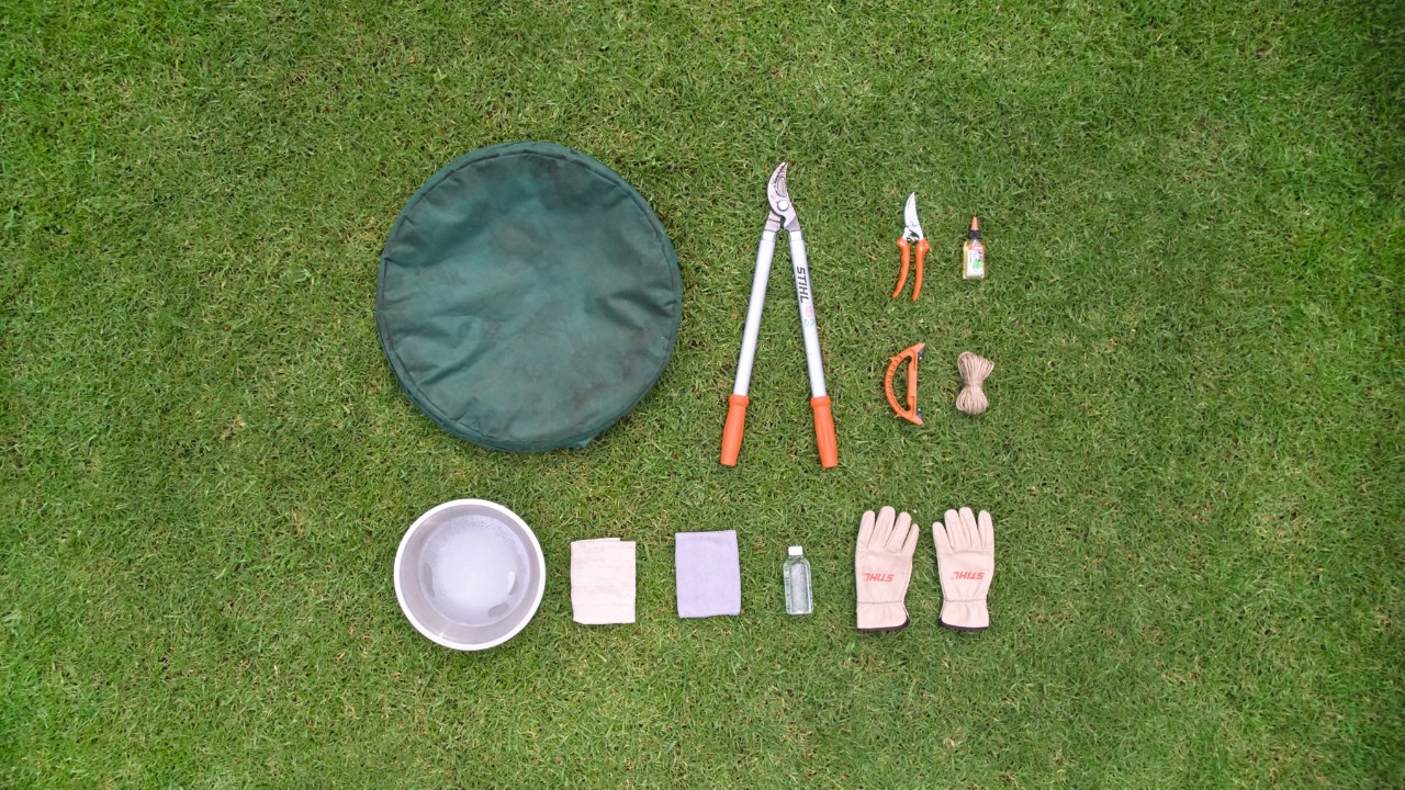 Outils et accessoires pour la taille des rosiers sur une pelouse, dont un sécateur, un coupe-branche et des gants