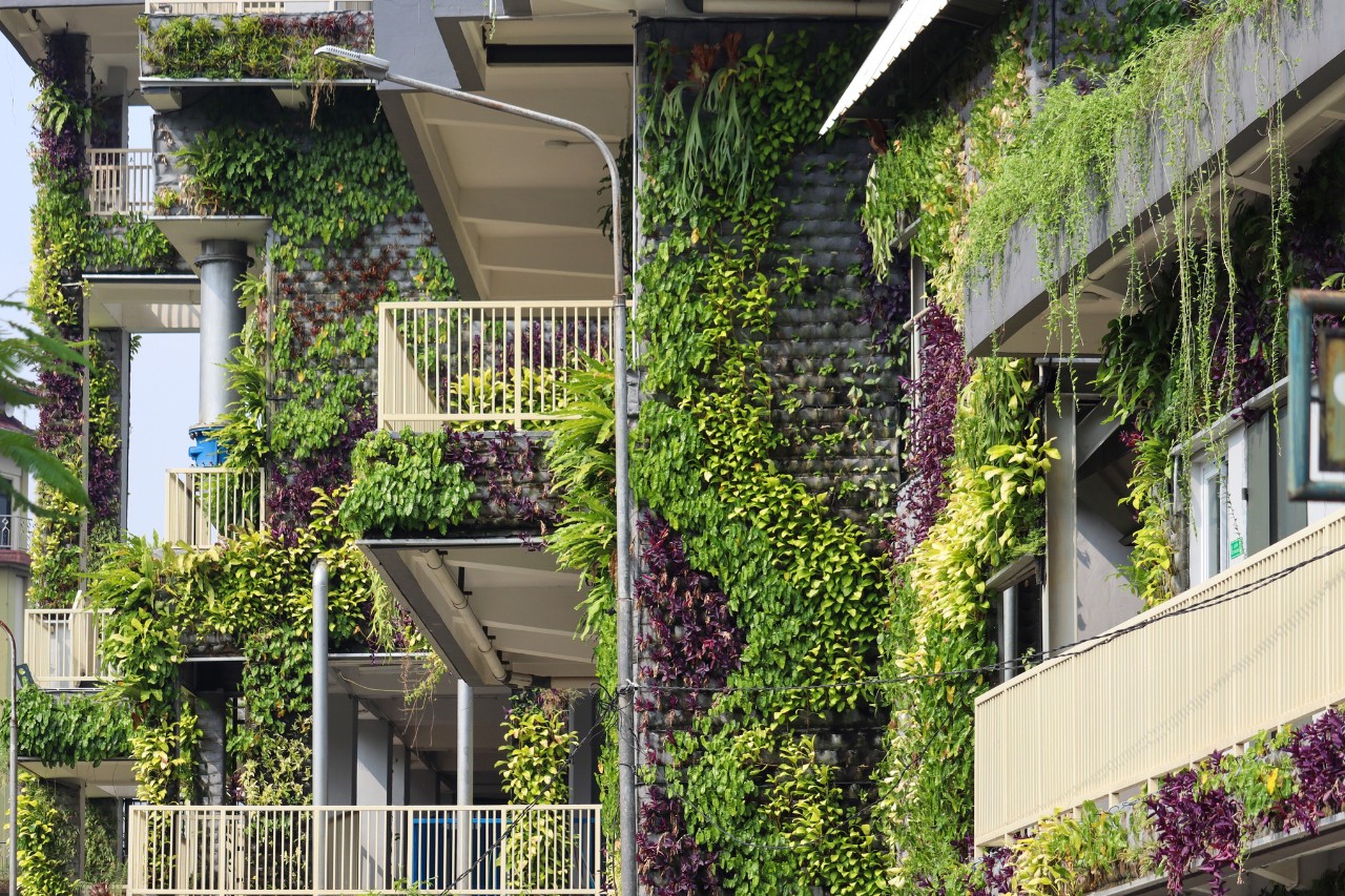 accent mis sur la construction écologique avec un jardin vertical sur le mur