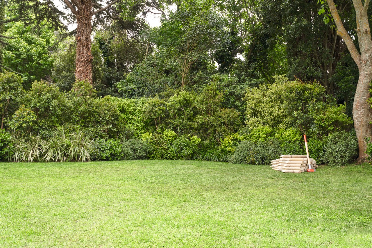 Jardin avec pelouse et piquets en bois en arrière-plan