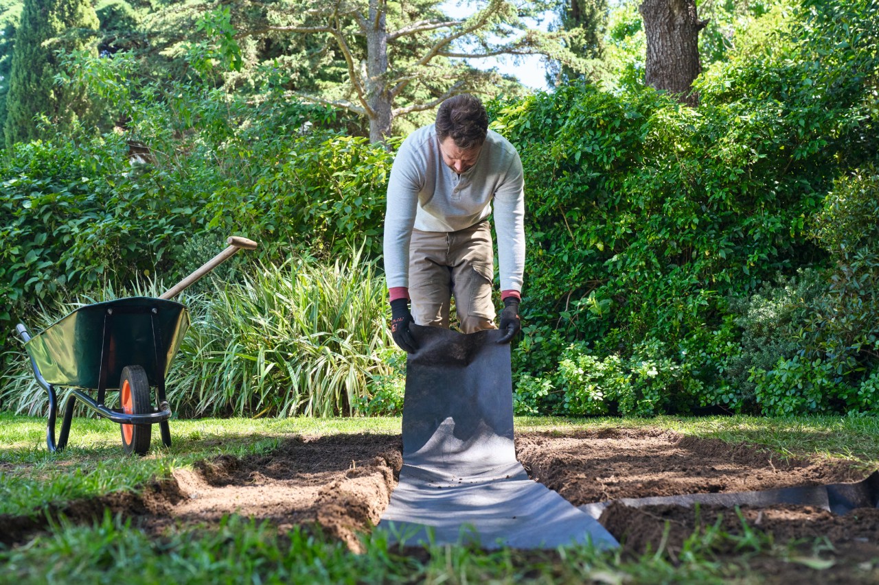 Homme posant une toile de paillage le long d’une allée de jardin