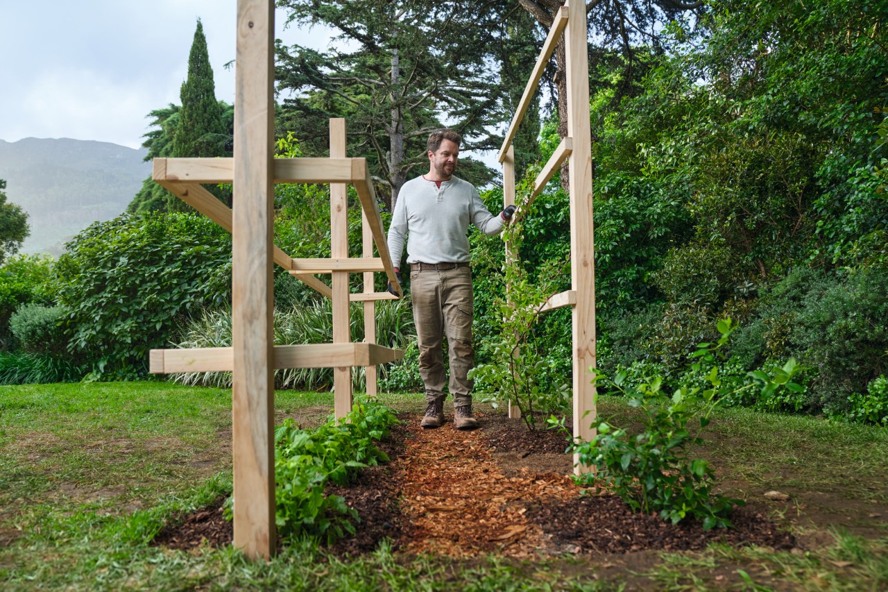 Homme dans une allée de jardin réalisée avec du paillage d’écorces, à côté de lui des tuteurs en bois avec des plantes