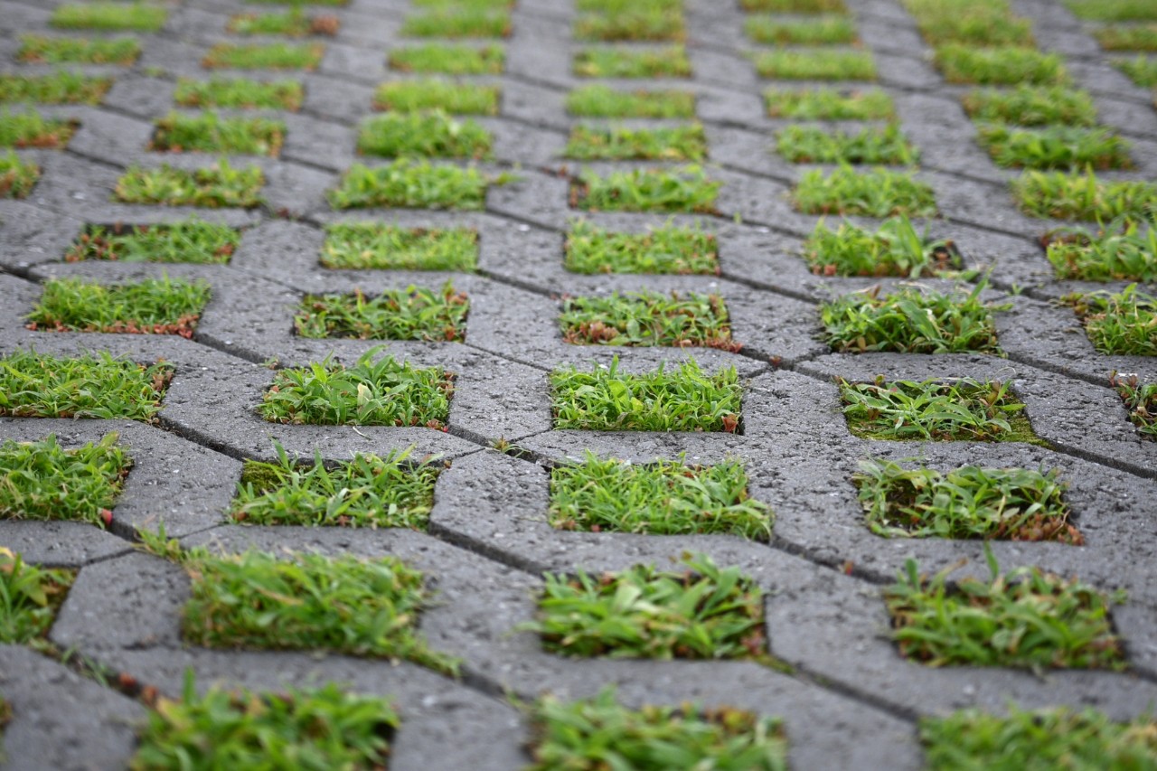 De l’herbe pousse entre les dalles alvéolées 