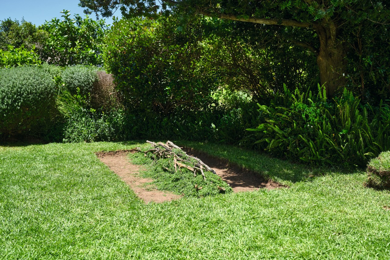 Surface de butte avec branches et herbe coupée