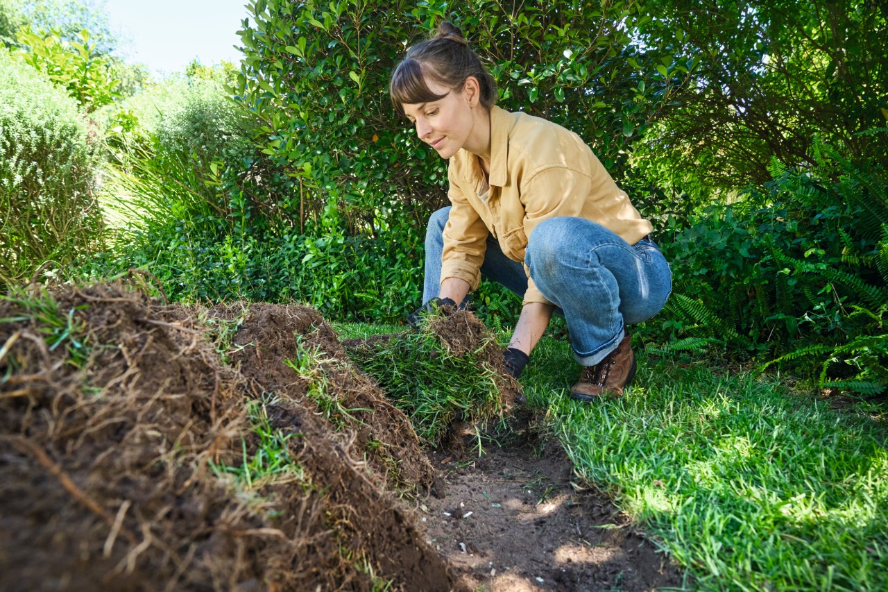Femme disposant des tranches de gazon sur la butte