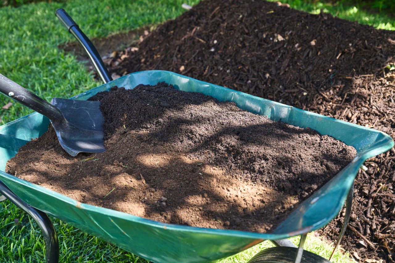 Gros plan sur une brouette contenant un mélange de terre et de compost devant une butte 