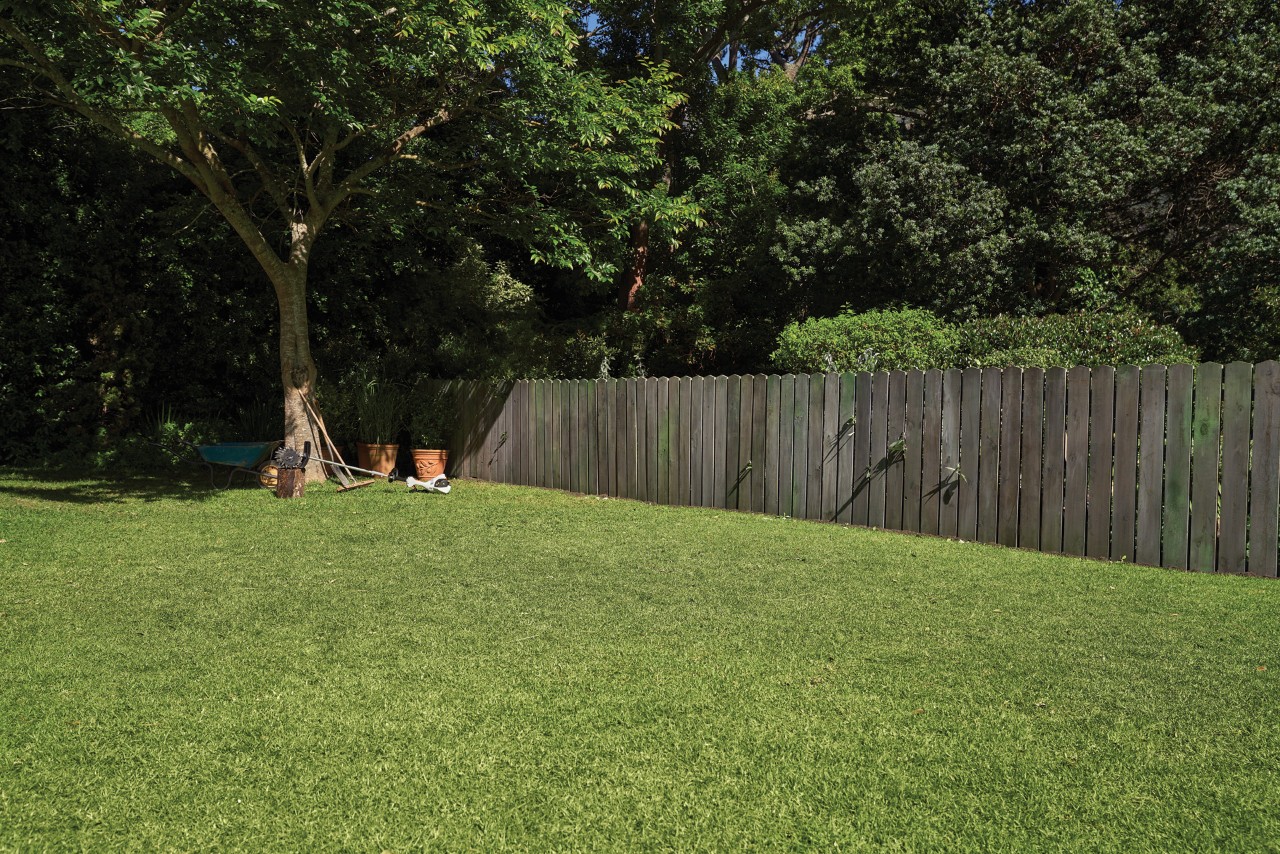 Jardin avec une pelouse, une clôture en bois, une brouette et des pots de fleurs vivaces à l’ombre d’un arbre 