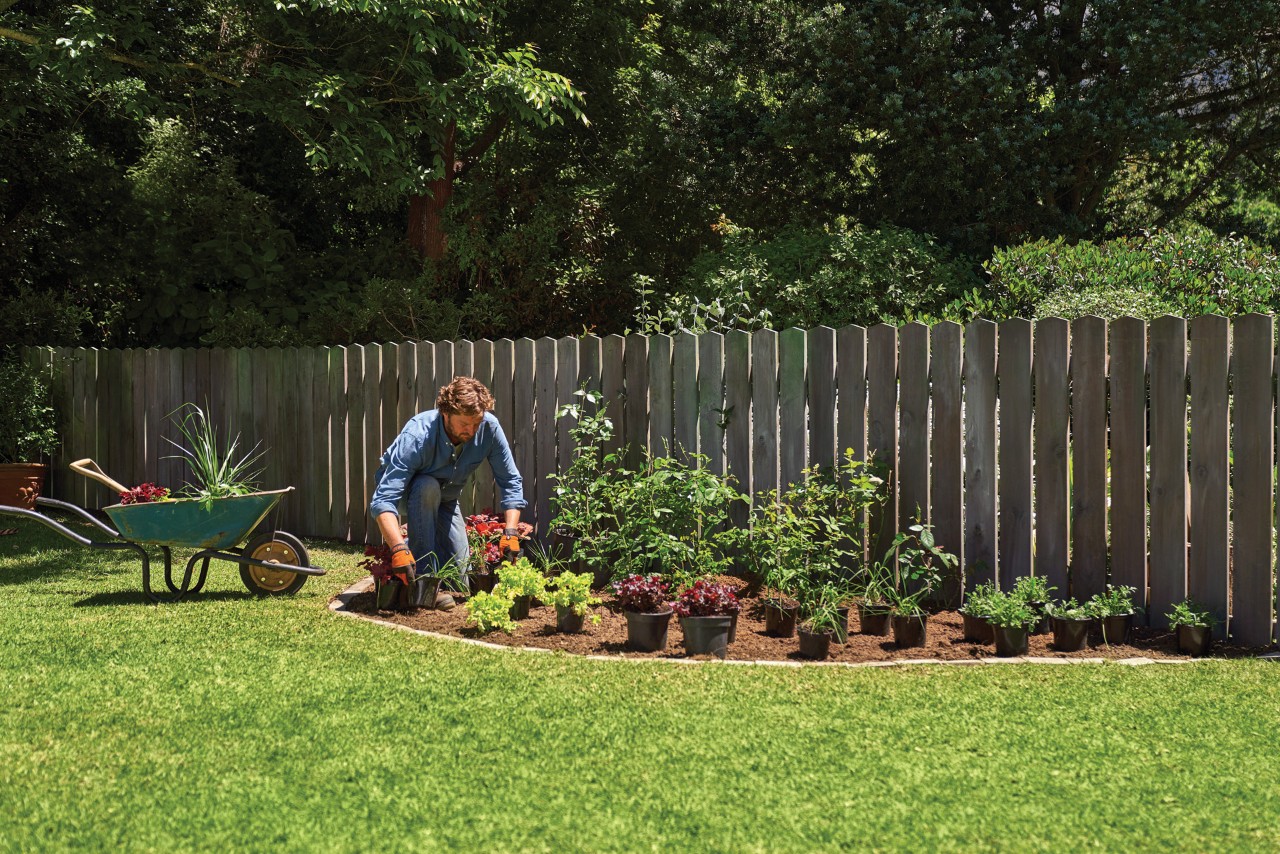 Homme plaçant des plantes en pot sur un massif de jardin