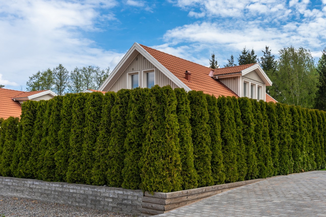 Maison avec jardin, entourée d’une haie dense