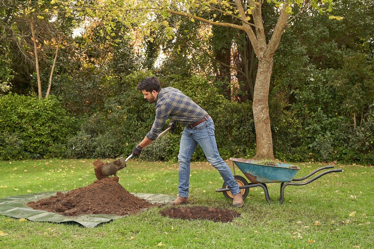 Un homme avec des gants de protection STIHL excave un trou de plantation avec sa bêche pour y planter un arbre.