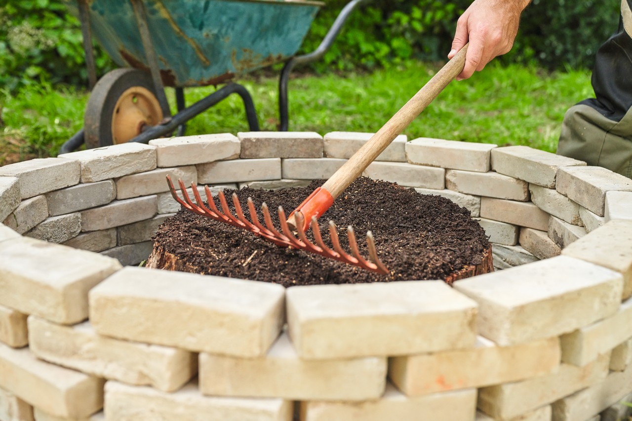 Gros plan sur quelqu’un en train de frotter le compost sur la souche sciée avec le dos d’un râteau 